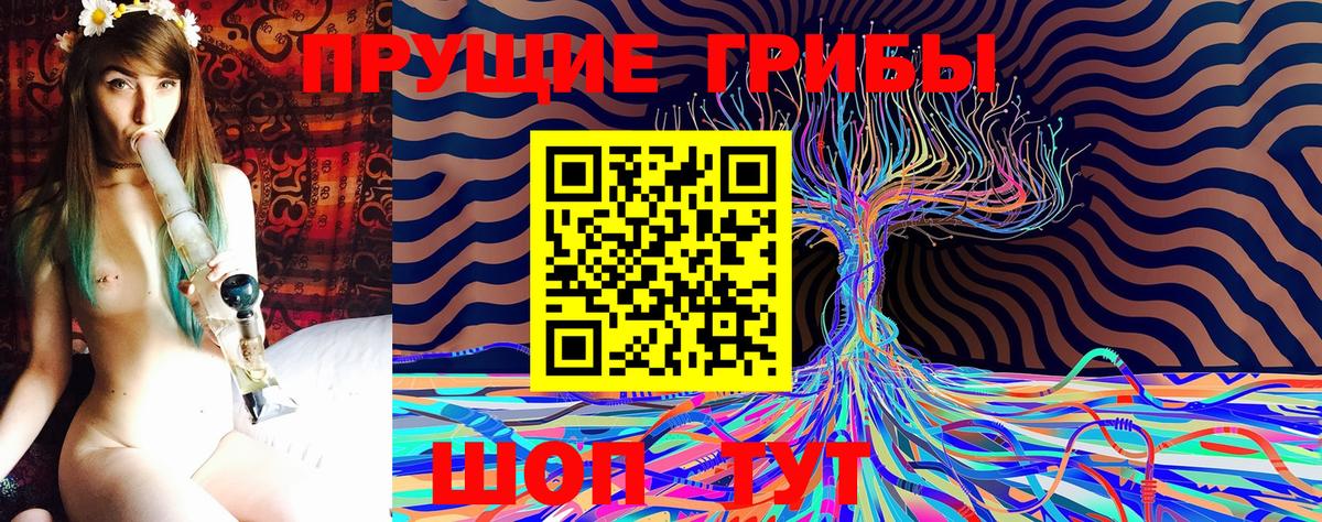 Псилоцибиновые грибы Psilocybe Серов