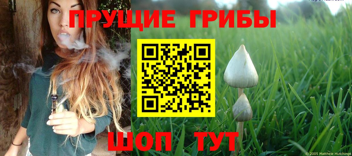 Галлюциногенные грибы мицелий  Вход с VPN  Серов  Галлюциногенные грибы мухоморы 